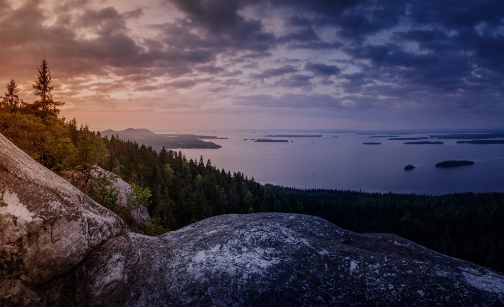 Miksi hallitusten pitäisi olla kiinnostuneita whistle blowingista?